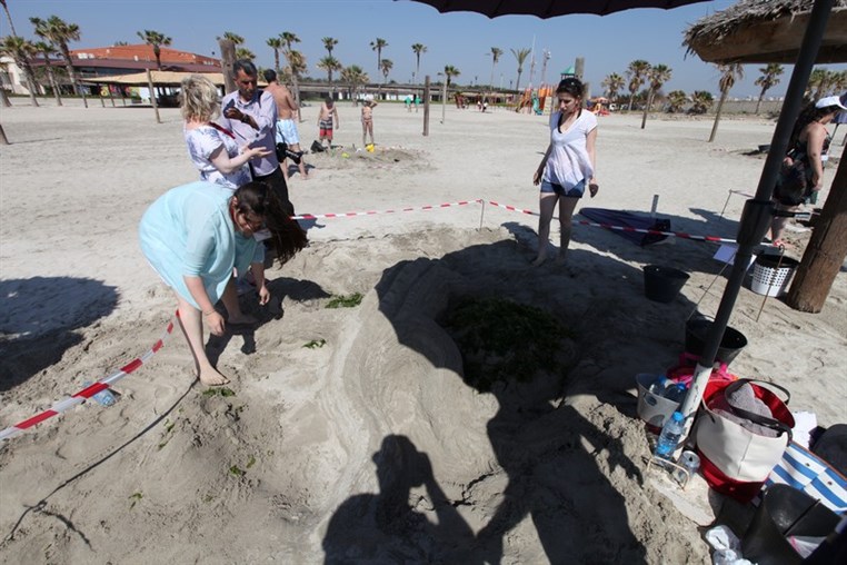 RestHouseTyr Sand Competition 